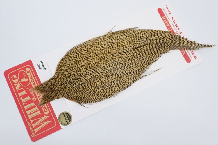 グリズリーダイド ゴールデンストロー