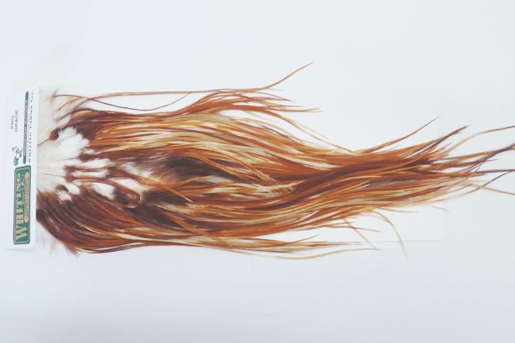 ミディアムジンジャー N/C