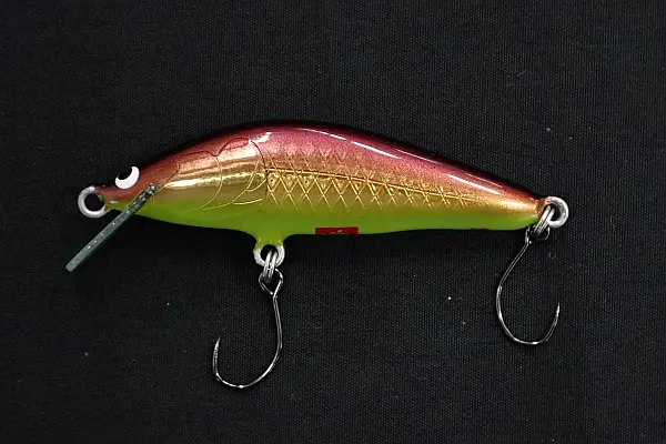 PGCB パープルゴールドチャートベリー