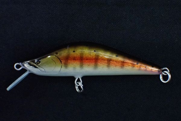 サビサビヤマメ