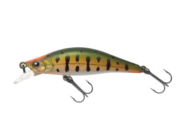 002LHハクヤマメ