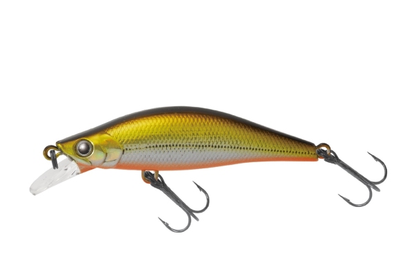 004LHテネシーシャッド