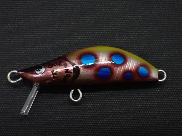 ヒョウモンダコ