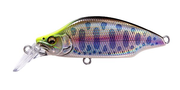 LZ インジケーターヤマメ