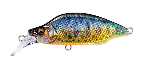 LZ タクミイワナ