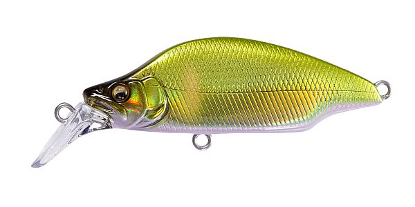 LZ シャイニーケイムラアユ