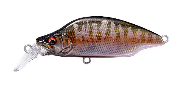 LZ オータムハレーション