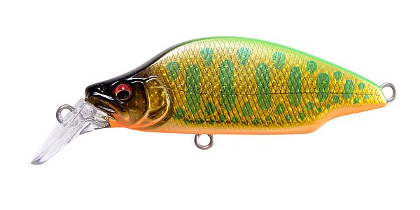 DD ライムバックゴールドOB