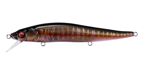 LZ オータムハレーション