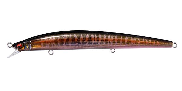 LZ オータムハレーション