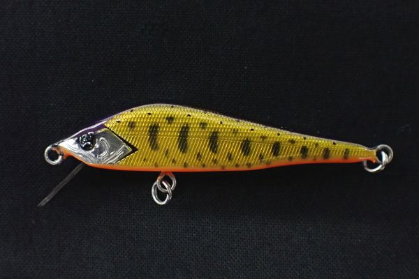 07 キンクロヤマメ