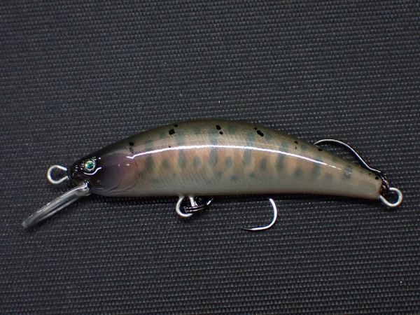 R7ヤマメ婚姻色