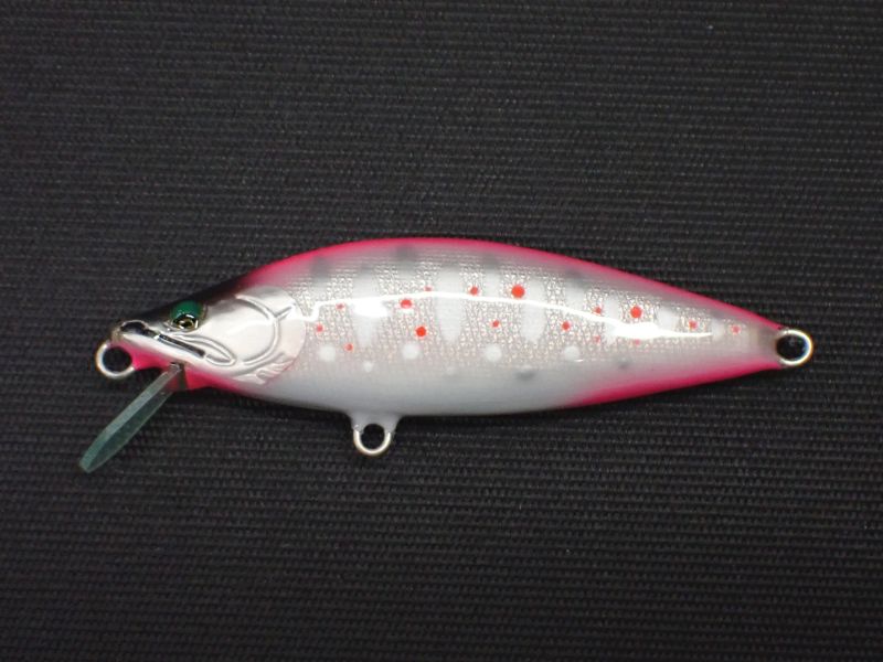 ピンクチャートアマゴ