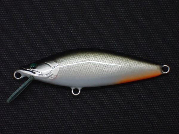 テネシーシャッド