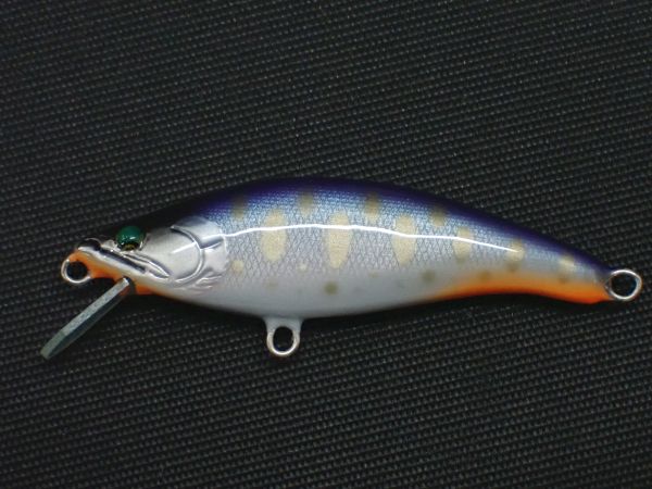 ディープパープルバックヤマメ