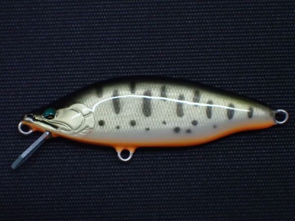 クロキンヤマメ