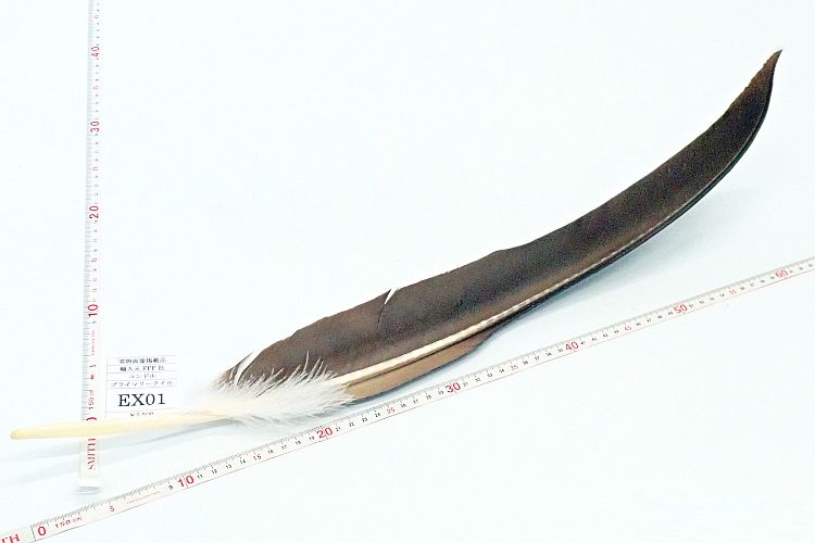 コンドルクイル プライマリー 各種
