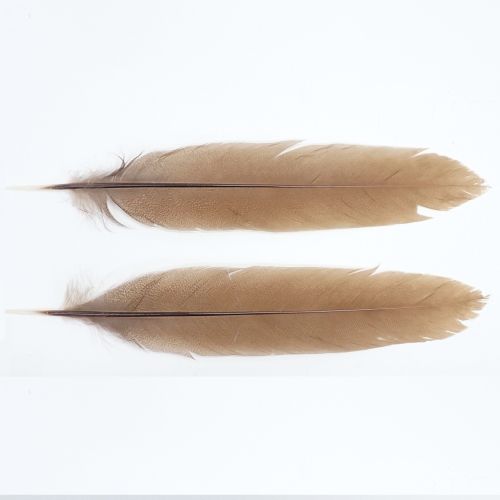 【キャナル】 スペックルド フェザントテール スタンダード 各種