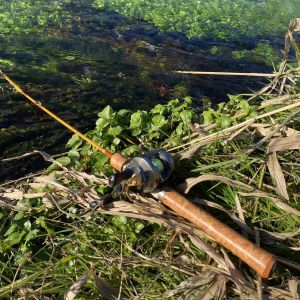 【WESSEX】 WSE-C/52 10th anv. (予約申し込み)