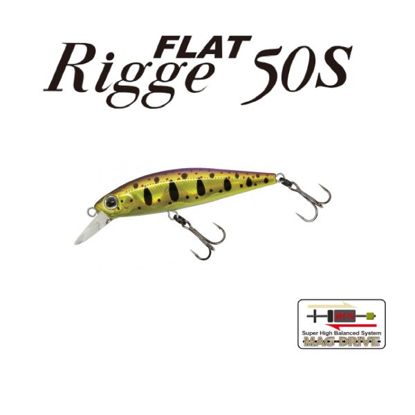 【ジップベイツ】 リッジフラット50S