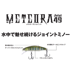 【ジャクソン】 メテオーラジョイント 49