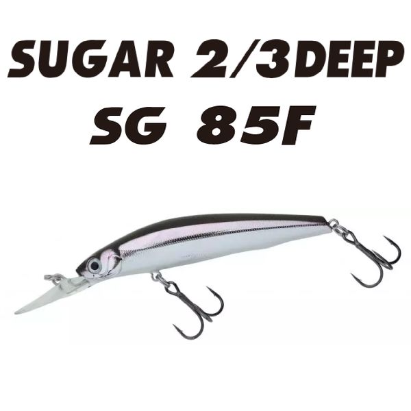 【バスディ】 シュガー2/3ディープSG85F