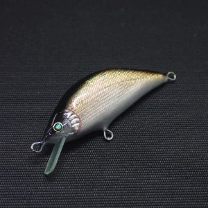 【パグミノー】 KOBATO 45HS-001