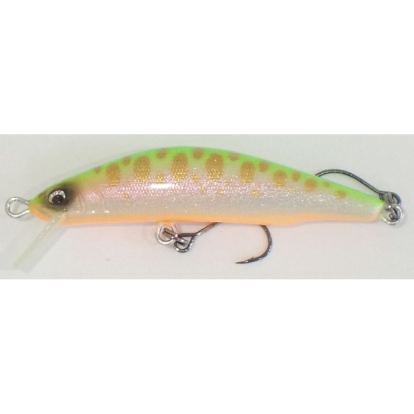 【レイチューン】 DP50RR MARK3