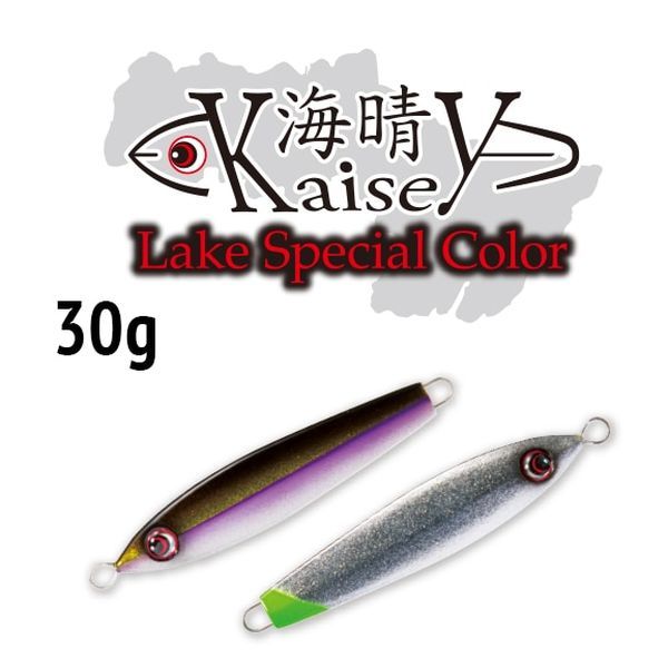【パズデザイン/リード】 海晴 30g レイクスペシャルカラー 各種