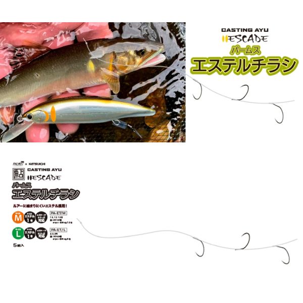 【パームス】 パームスエステルチラシ 各種