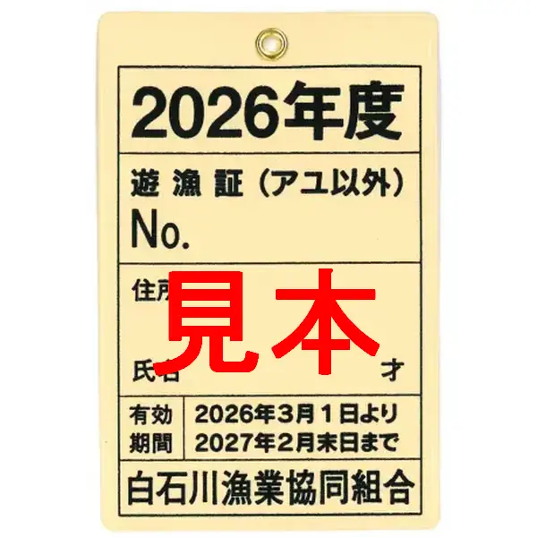 【遊漁証】 2026年度 白石川漁業協同組合竿釣遊漁証 年券(アユ以外)