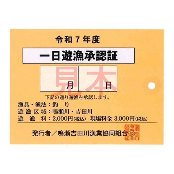 【遊漁証】 令和7年度  鳴瀬吉田川漁業協同組合竿釣遊漁証 一日券