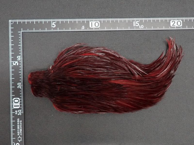 【キャナル】 コックハックル　レッド　中古