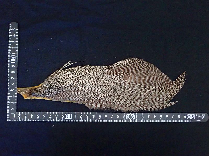 【メッツ】 コックネック #3 1/2 グリズリー 中古