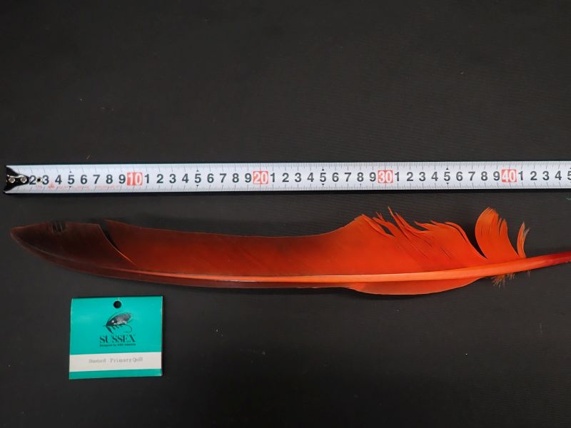 【SUSSEX】バスタード プライマリークィル　OR② 中古
