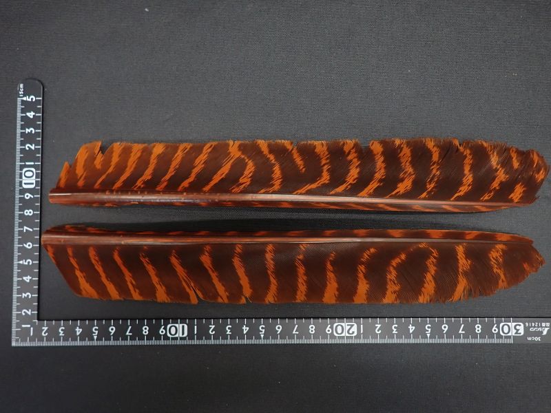 【ネイチャースピリット】バラードターキーバイオットクイル ラスティオレンジ 中古