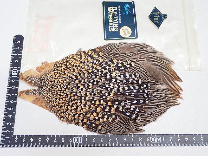 【アダムス】 ジャングルコック 中古